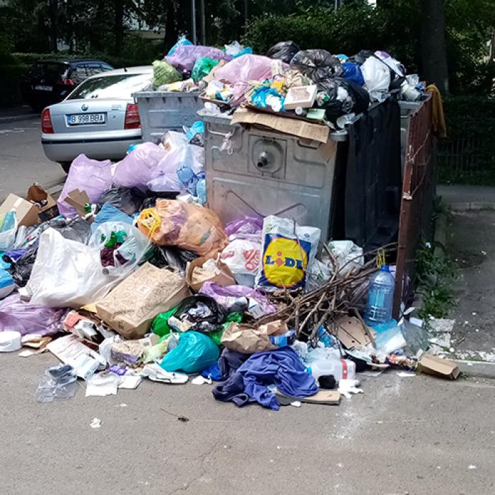 Clotilde Armand cere din nou STARE de ALERTĂ în Sectorul 1