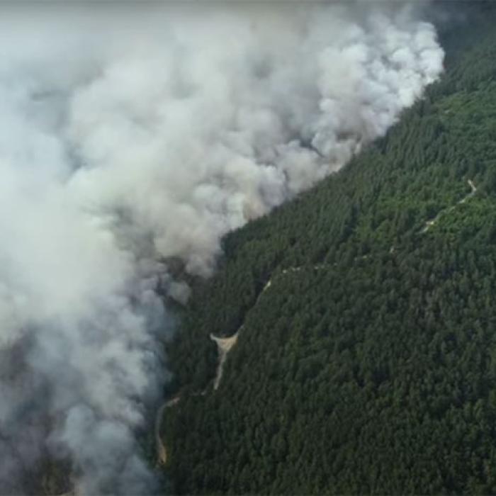 Bulgaria este și ea afectată de incendii și caniculă