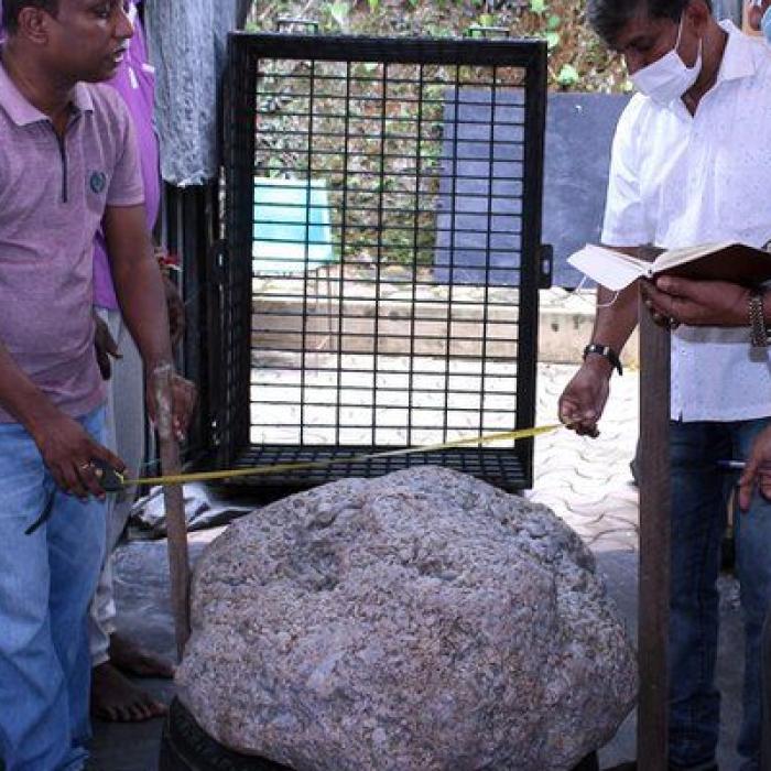 Un gigantic SAFIR a fost DESCOPERIT întâmplător în curtea unei case