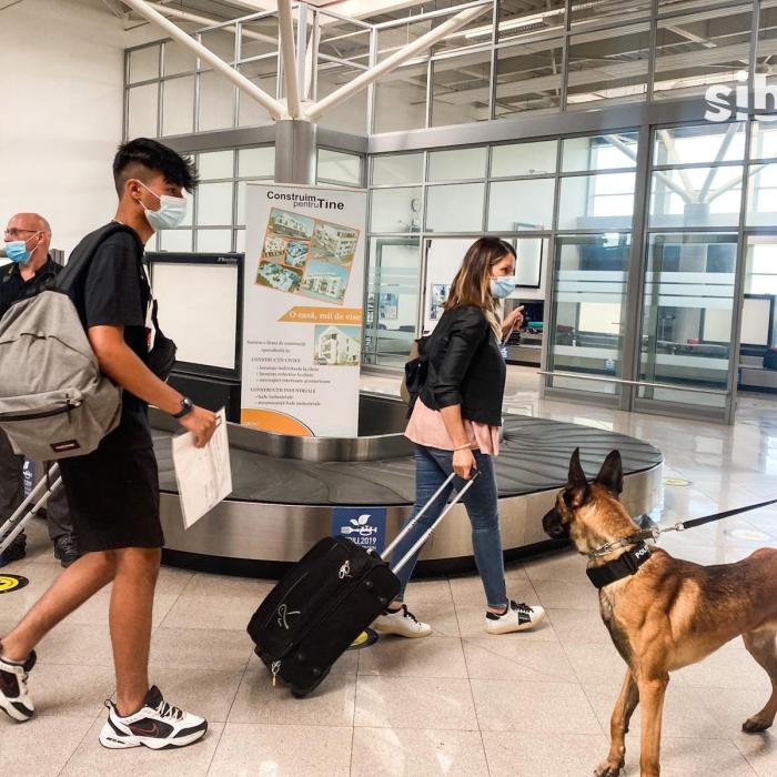 Bolnav de COVID-19, depistat de un câine polițist, în Sibiu