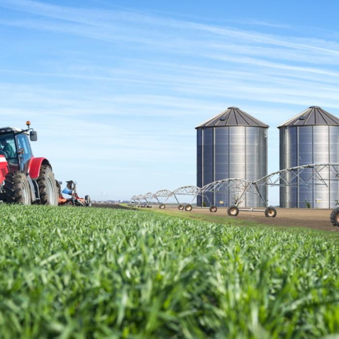 Rating EXCEPȚIONAL pentru toate culturile agricole din România