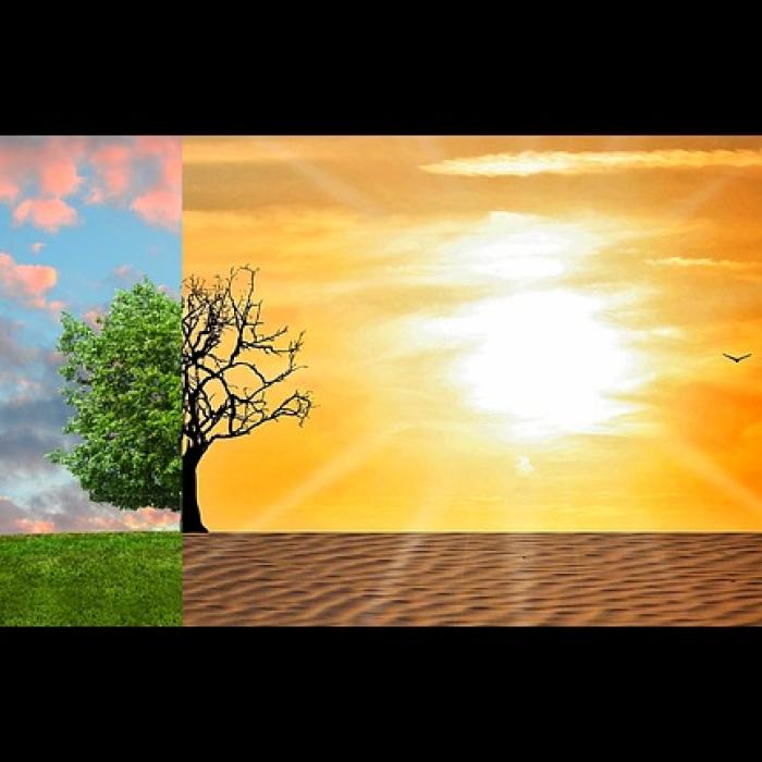 Experții ONU vin cu un scenariu APOCALIPTIC în ceea ce privește clima