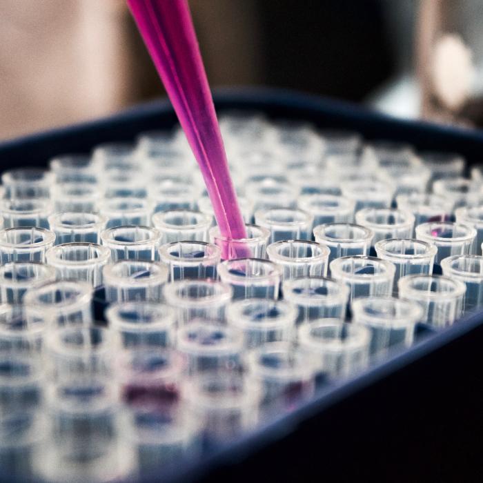 Coronavirus. Tulpina IOTA îi scoate din sărite pe americani. Ce spun