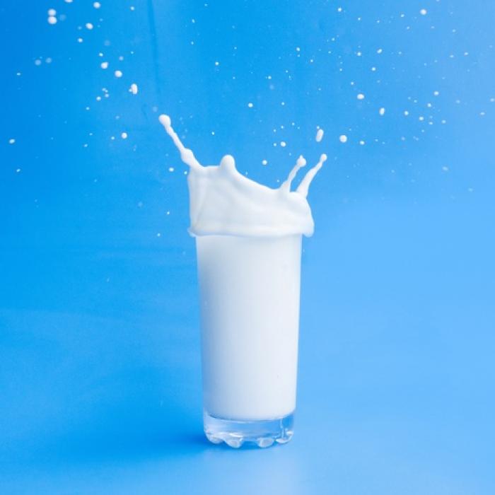 Un start-up produce lactate fără... VACI