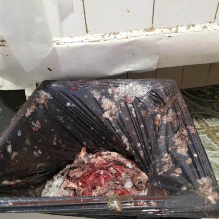 Restaurantele groazei de pe litoral. Mâncare exiprată de 7 ani. Ce au mai descoperit inspectorii