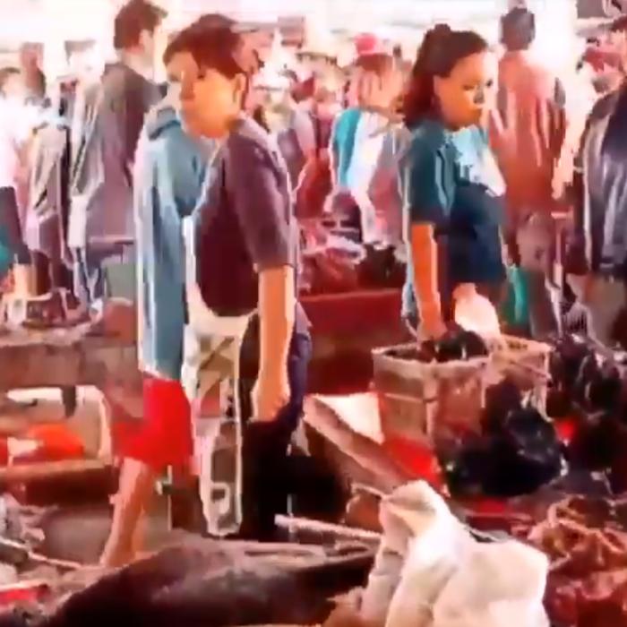 COVID-19. 11 cercetători de renume cer anchetă în China