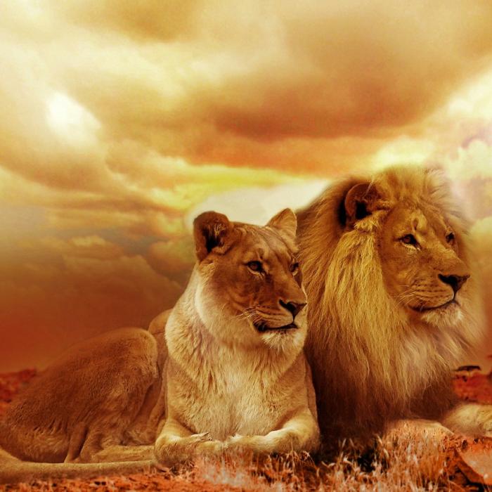 Horoscop WEEKEND: Trei zodii au noroc uriaș în DRAGOSTE