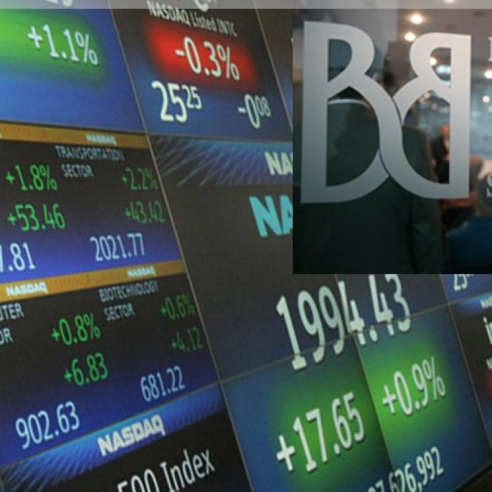 Bursa a închis ziua pe roșu. Acțiunile Romgaz, în urma celor de la Banca Transilvania