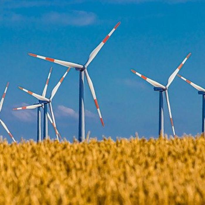Compania daneză de energie regenerabilă intră pe piaţa din România