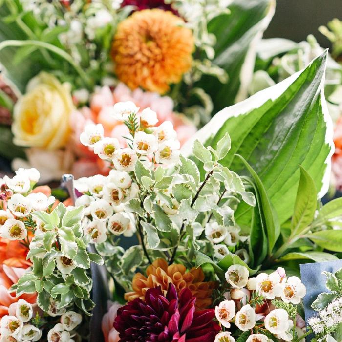 Florile care-ți schimbă viața! NU trebuie să lipsească din casă 