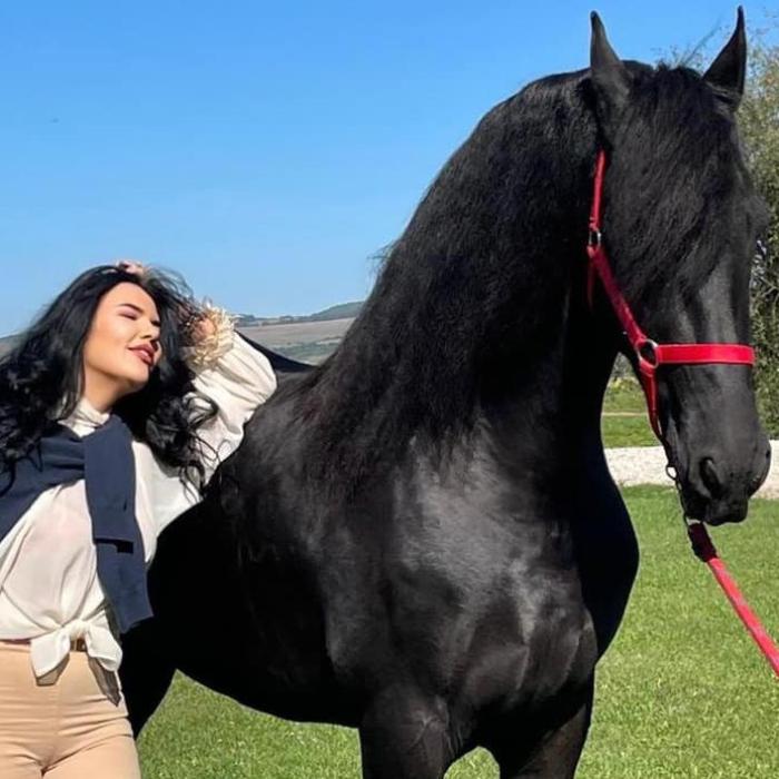 Ioana Simion și-a cumpărat un cal. Prețul l-a șocat pe soțul ei, Ilie Năstase