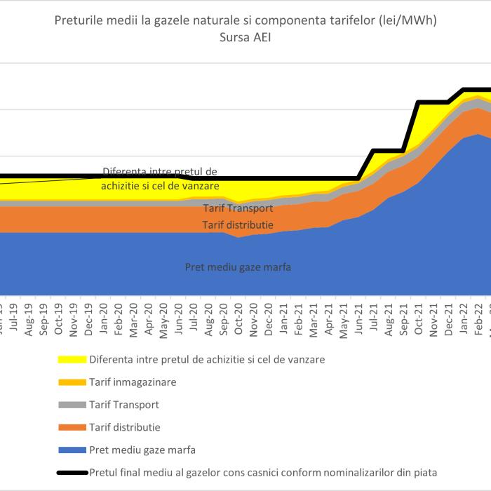 PLAFONAREA prețului gazelor avantajează furnizorii. Expert: Plafonarea le aduce venituri de la bugetul de stat