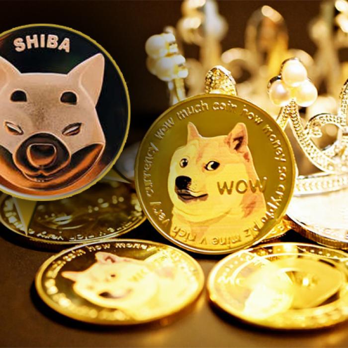 Evoluție COLOSALĂ a criptomonedei Shiba Inu. Miliardari cu numai 1.000 € investiți