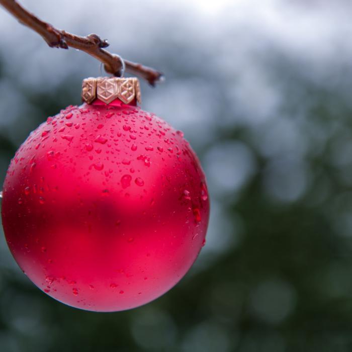 Masa de Crăciun pentru români va fi mai scumpă cu 25%, anul acesta