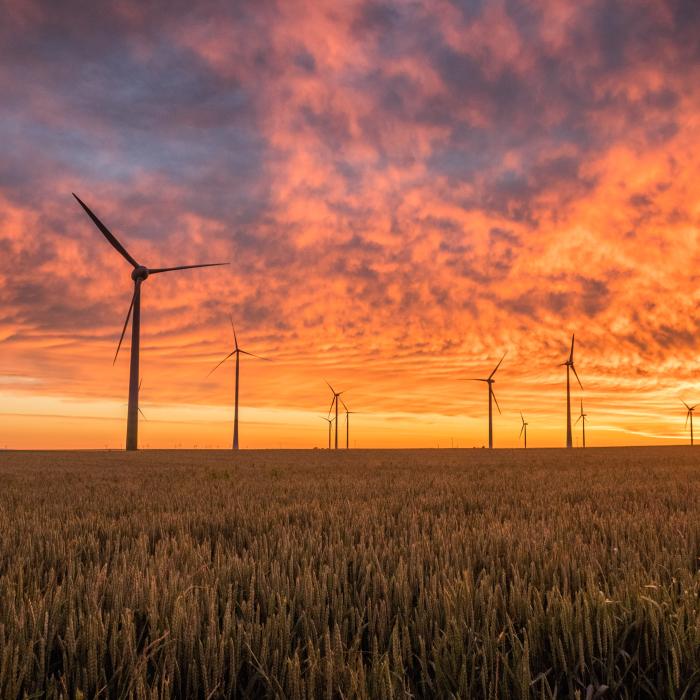 Natura se răzbună, clima în derivă. Directorul ANM: ”Nici România nu face excepție"