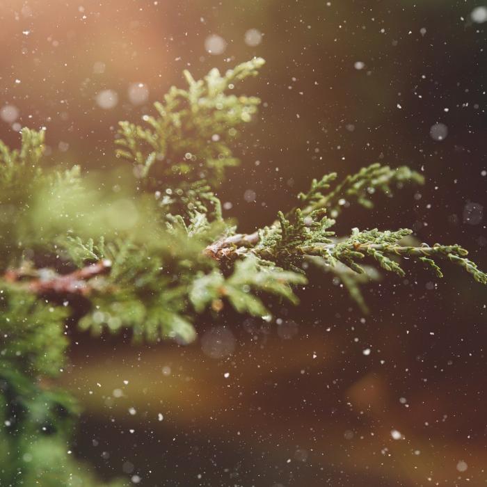 Un val de aer POLAR va lovi România. Când se schimbă vremea