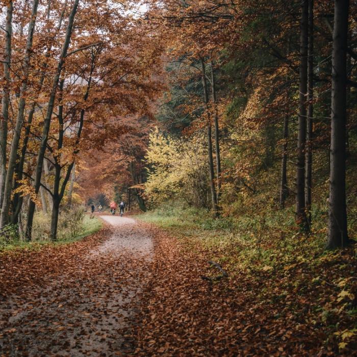 Meteo. Cum va fi vremea în minivacanța de 1 Decembrie