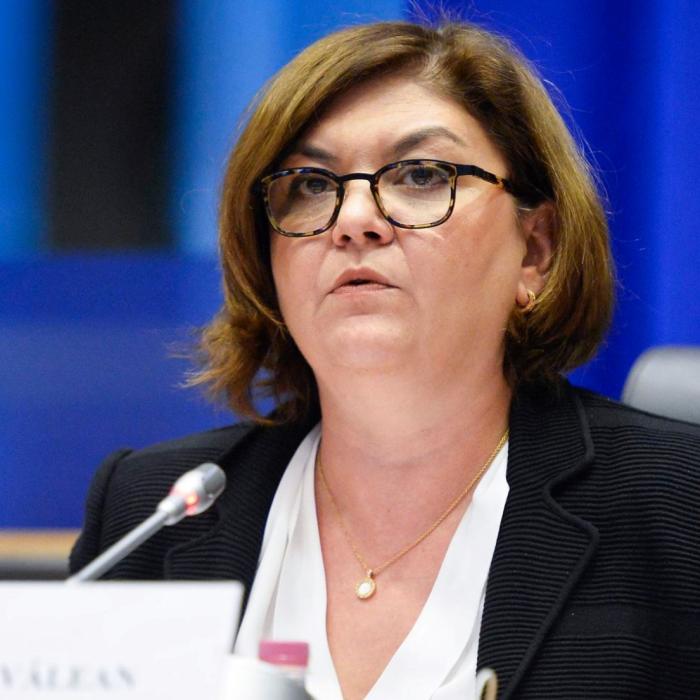 Adina Vălean: Pasagerii români ar putea beneficia de o cale ferată de mare viteză