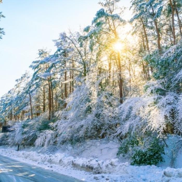 Alaska se confruntă cu ICEMAGEDDON, apocalipsa gheței VIDEO