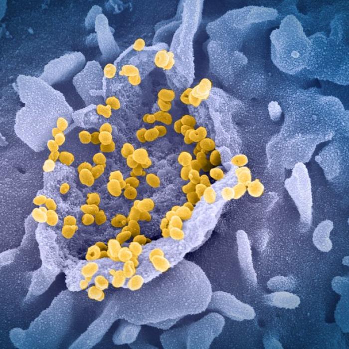 Coronavirus: Deltacron este noua tulpină 