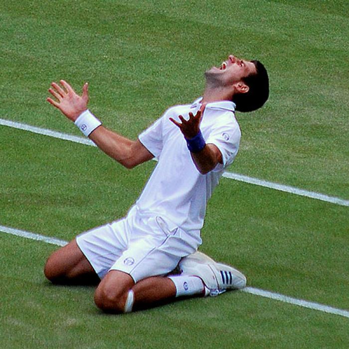 ”Eroul” Djokovic admite că a mințit... cu jumătate de gură
