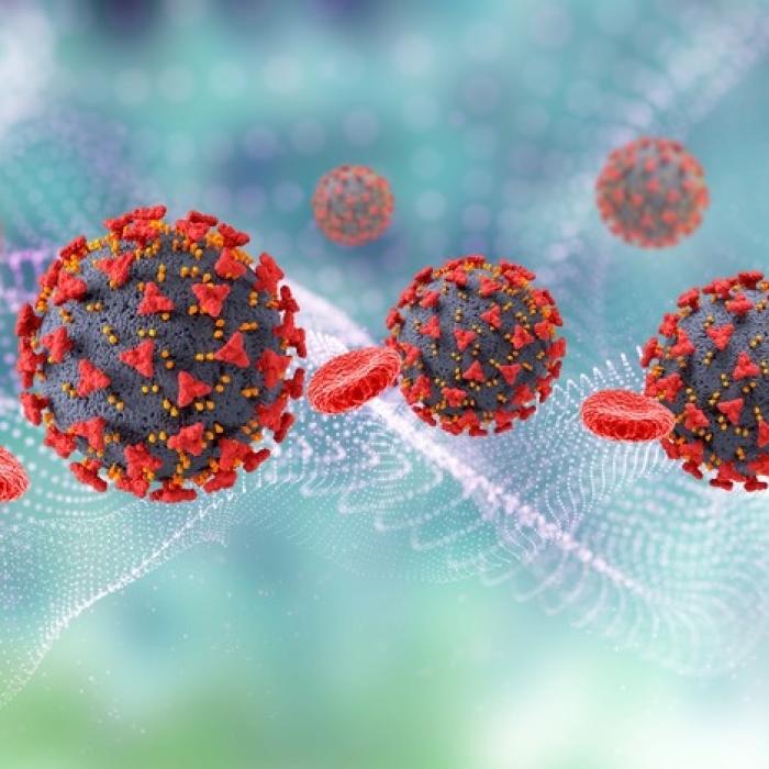 COVID-19. Grupa de sânge cu cel mai mic risc de îmbolnăvire