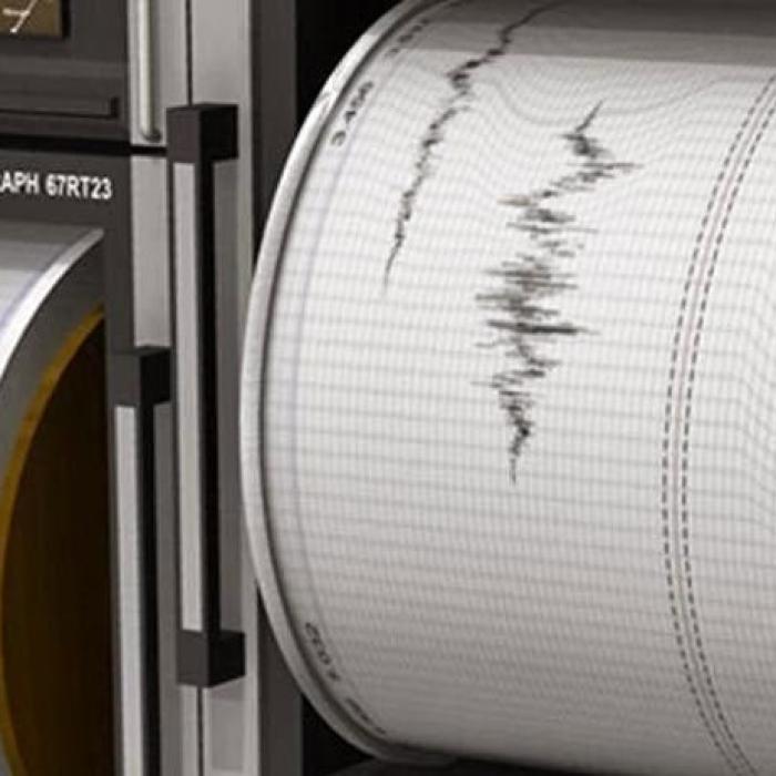 Cutremur de peste 3,5 grade pe scara Richter în România