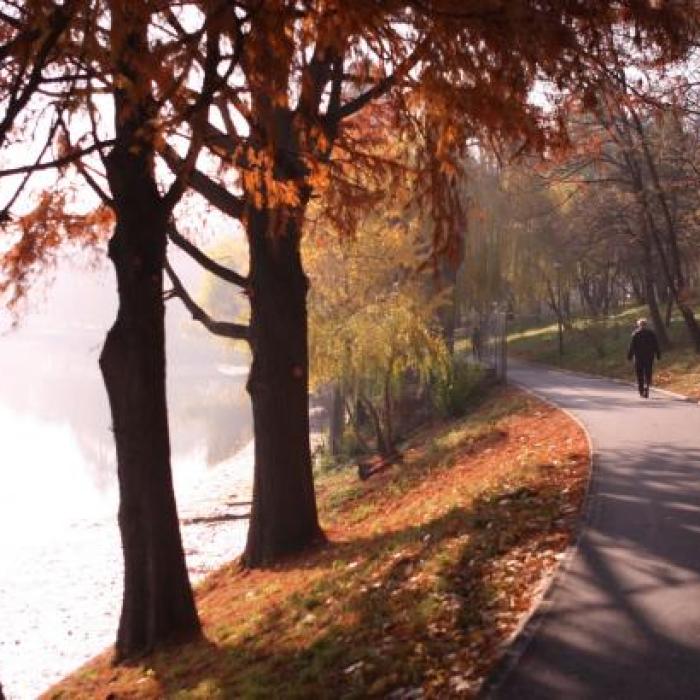 Prognoză meteo București. De marți, vremea se schimbă