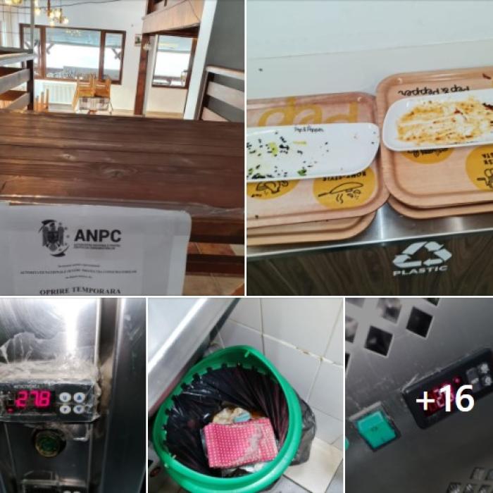 Inspectorii ANPC au găsit DEZASTRU la Cluj. Imagini de groază!