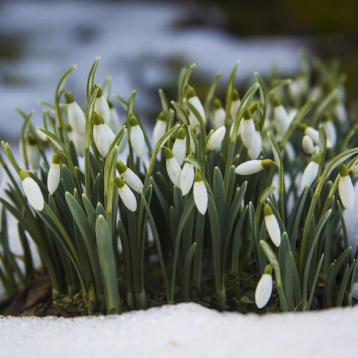 Meteo. Prognoza pentru următoarele patru săptămâni
