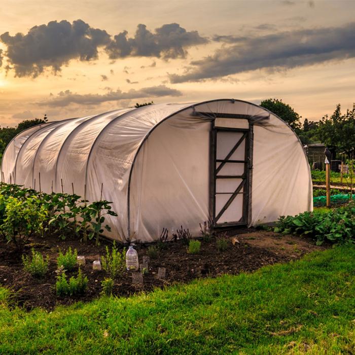 Fermierii români cer ca ministrul Agriculturii să fie inclus în CSAT, ca urmare a crizei din Ucraina