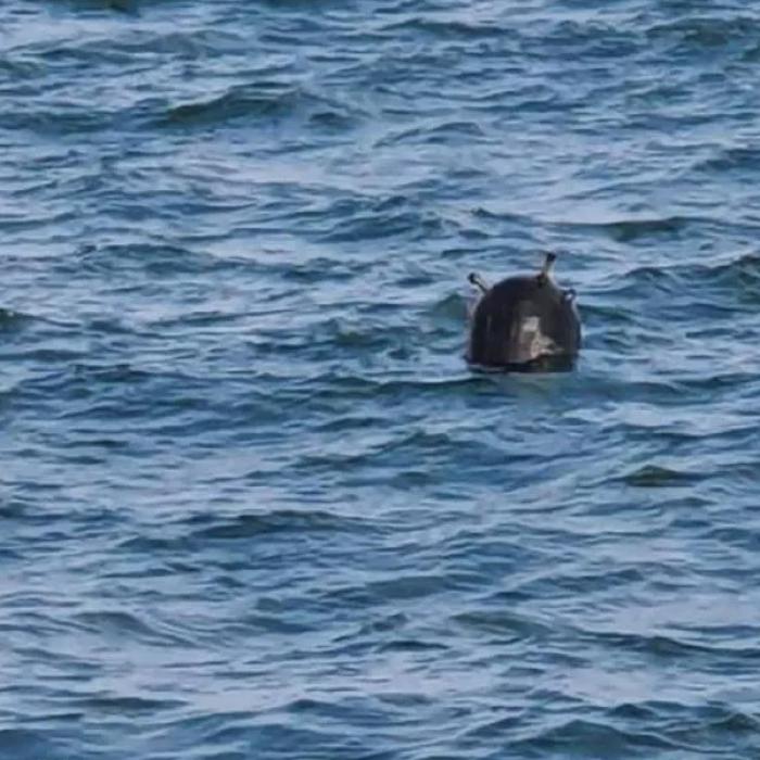 Tanczos Barna: Un risc real de poluare a Mării Negre nu există