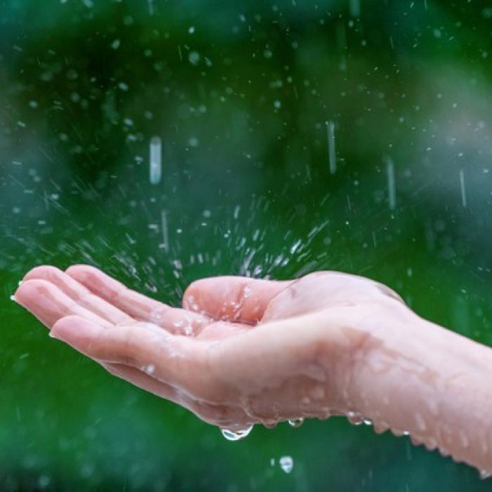 Avertizare METEO. Cod galben. Frig, precipitații mixte, vânt puternic 