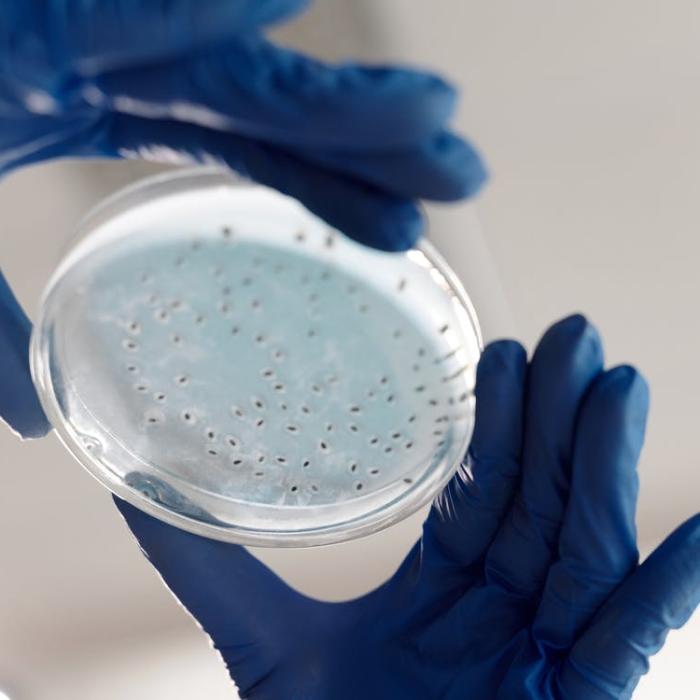 Epidemie de salmonella. UE a declanşat o investigaţie: De la ce ar fi plecat