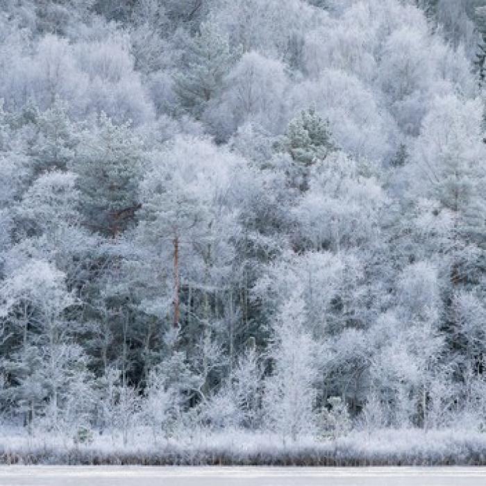 Val de aer polar în România. Vremea se schimbă radical în următoarele ore