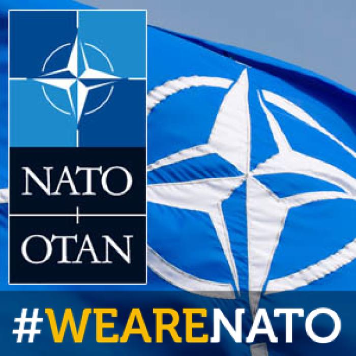 Suedia şi Finlanda au decis. Cele două ţări nordice vor depune simultan cereri de aderare la NATO