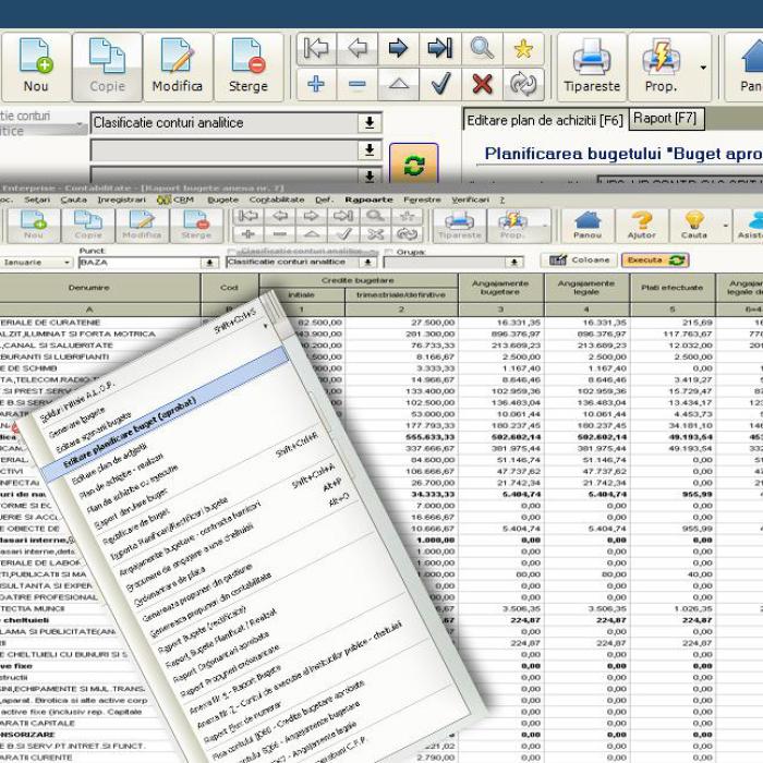 (P) Importanța utilizării unui software de tip ERP