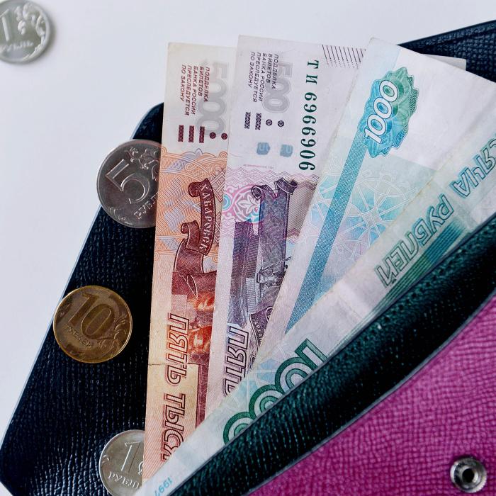 Rubla a atins maximul ultimilor doi ani