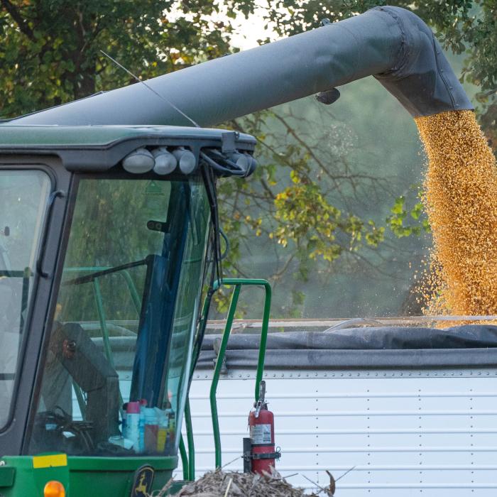 Unde au ajuns cerealele furate de ruși din Ucraina