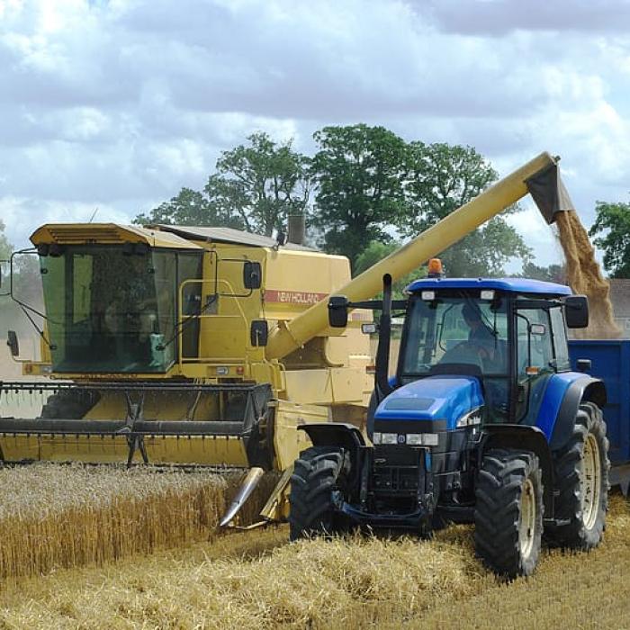Ministrul Chesnoiu este convins: Producția agricolă va fi stabilă, dar nu ca anul trecut