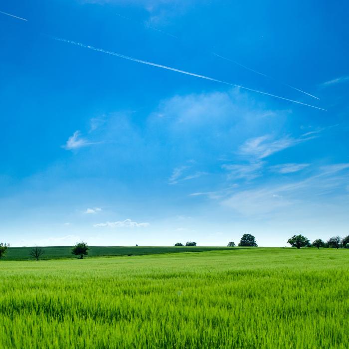 Modificări privind vânzarea terenurilor agricole din extravilan