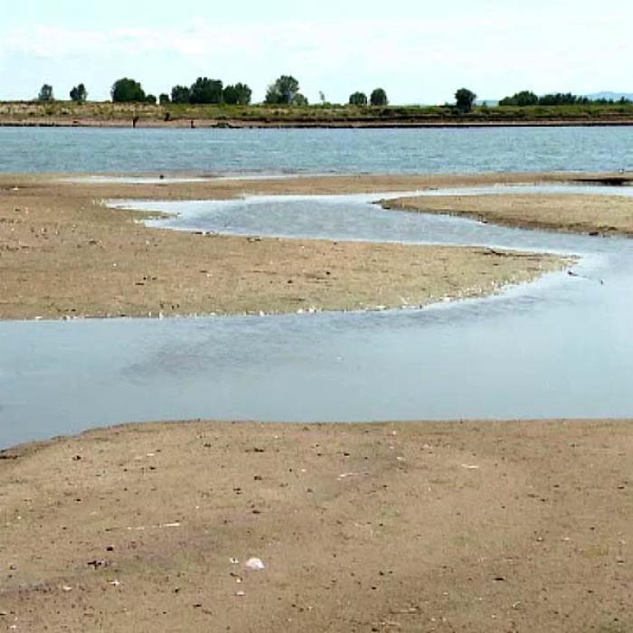 Debitul Dunării, la un nivel periculos de mic