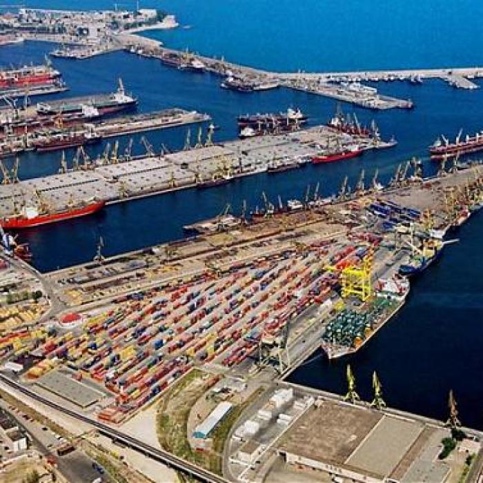 Fermierii se tem de daune ireparabile asupra agriculturii autohtone