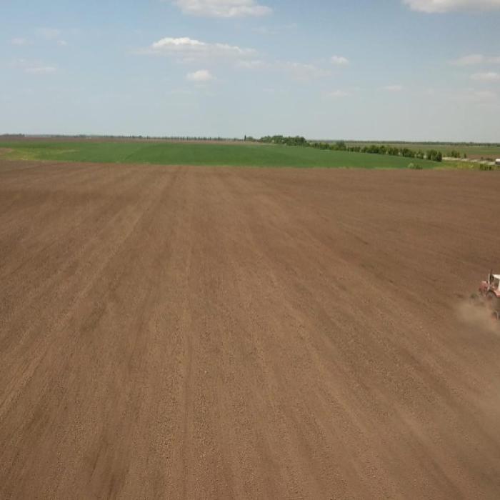 16.000 de hectare, afectate de seceta pedologică, sunt în proces de constatare a pagubelor