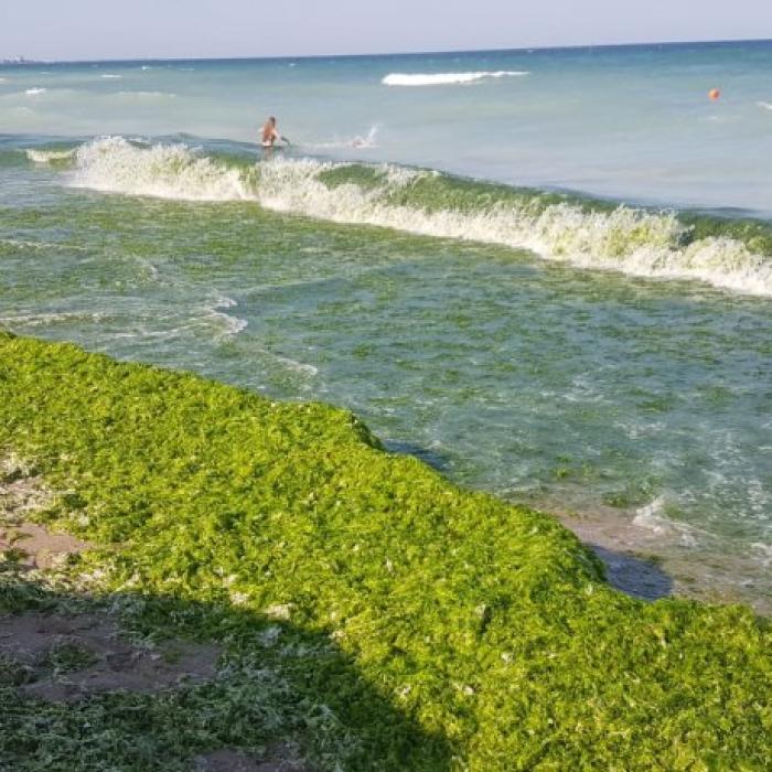 Poluare în Marea Neagră. Fost șef al Gărzii de Mediu spune cât de gravă este situația