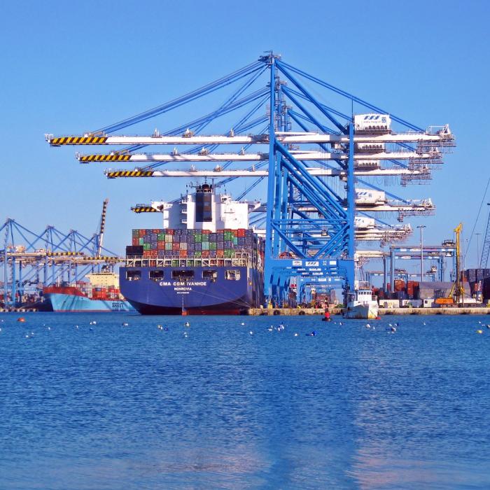 Cereale ucrainene şi îngrăşăminte ruseşti. Turcia anunţă că un acord va fi semnat vineri la Istanbul