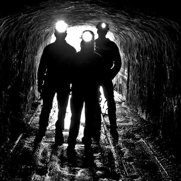 Vast Resources va demara producţia de molibden în România