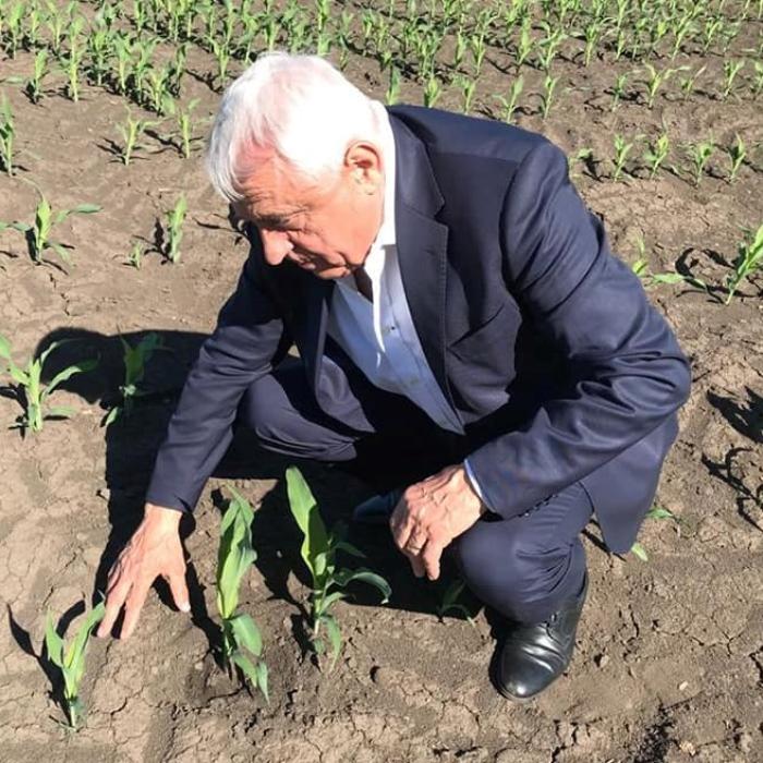 Daea: Punerea în aplicare a Programului de reabilitare a sistemului de irigaţii trebuie să se facă ceas de ceas şi zi de zi