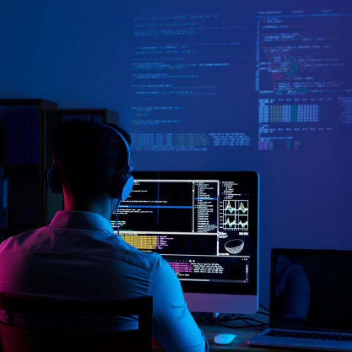 Un nou tip de fraudă face victime printre români. IGPR: Vă recomandăm să NU răspundeți
