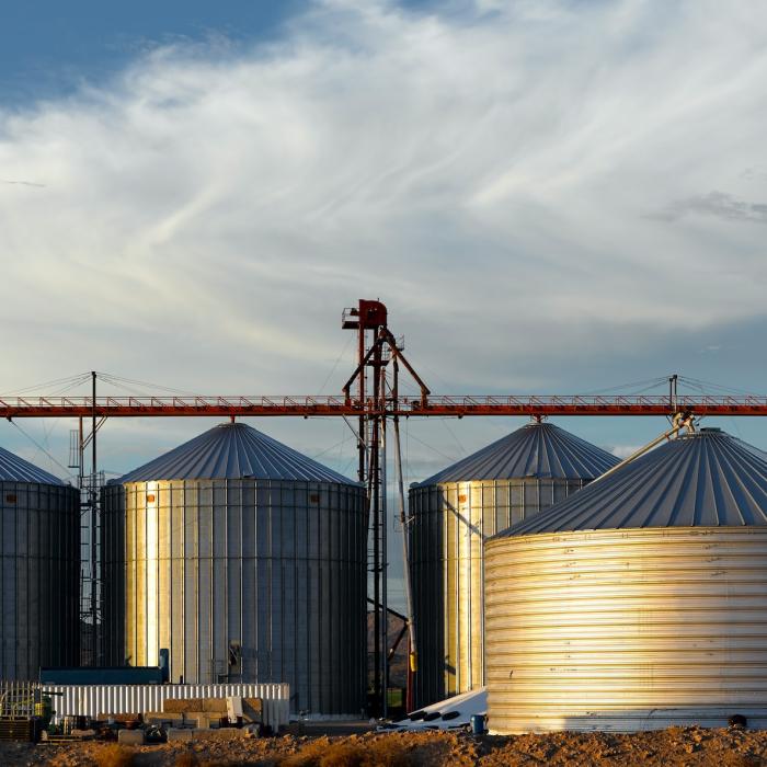 Ce se întâmplă cu exportul României de grâu în 2022